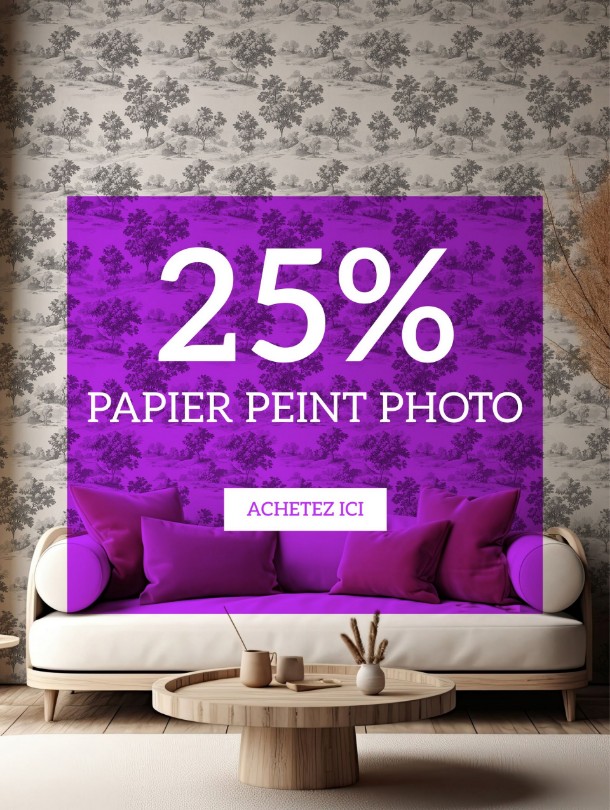 PAPIER PEINT PHOTO